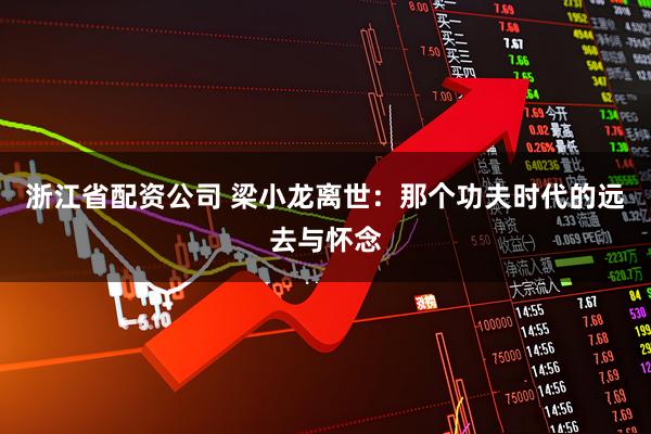 浙江省配资公司 梁小龙离世：那个功夫时代的远去与怀念