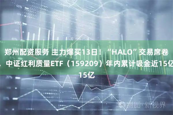 郑州配资服务 主力爆买13日！“HALO”交易席卷，中证红利质量ETF（159209）年内累计吸金近15亿